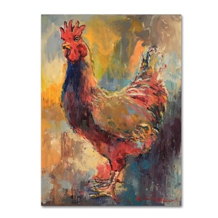 Trademark Fine Art Richard Wallich 'Art Rooster 1 ' Canvas Art, 14x19 ALI5917-C1419GG